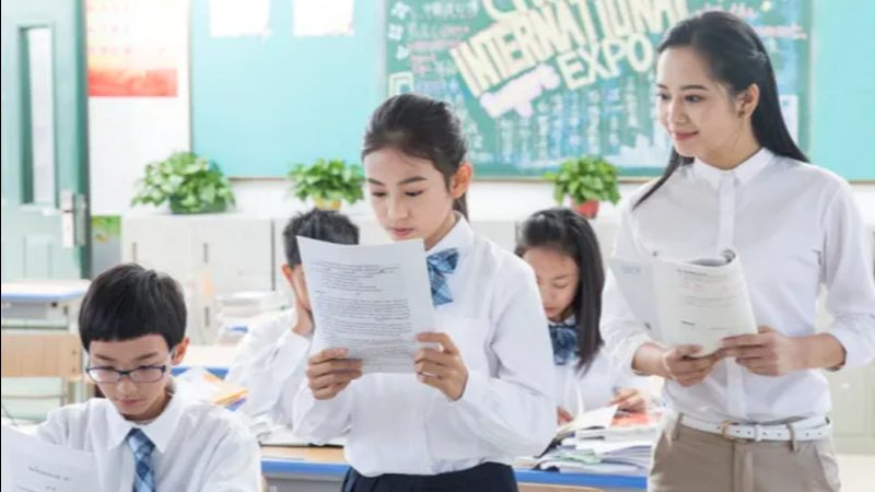 实操与理论：职业培训中的双重世界